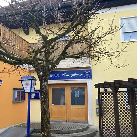 Karpfinger Aiterhofen
