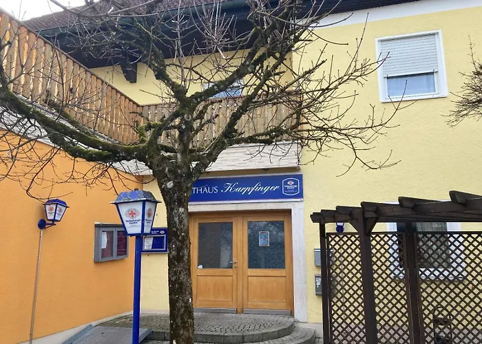 Karpfinger Aiterhofen